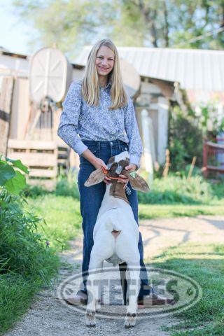 Jennifer Lohmann, Market Goat,